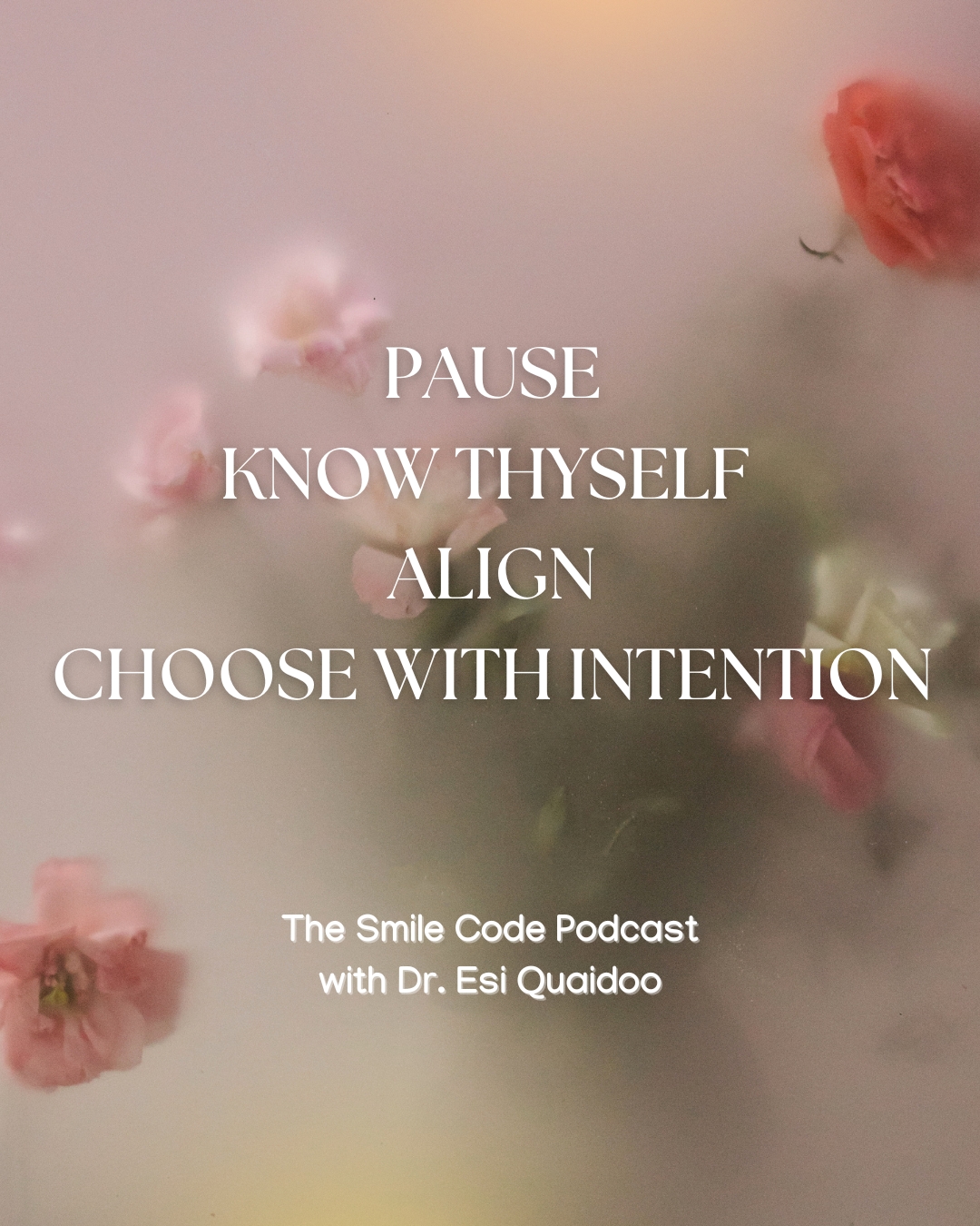 Escaping the Twin Pandemics – The Hampster Wheel  and The Shiny Object Syndrome